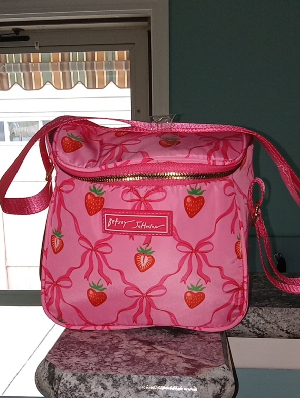 Betsey Johnson Insulated Lunch Tote 🍓🍓🍓🍓